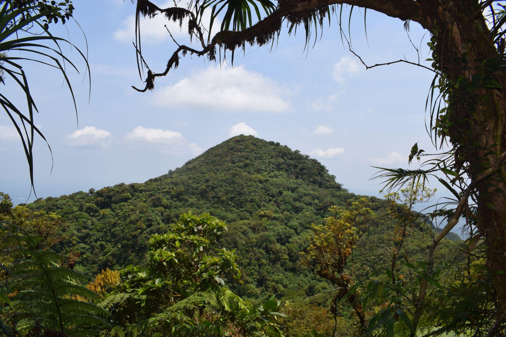 Mount Makiling Forest Reserve - Asean Centre For Biodiversity