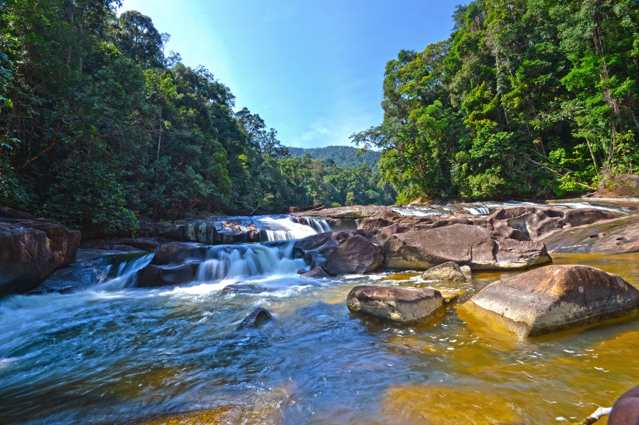 Endau-Rompin Johor National Park - ASEAN Centre for Biodiversity